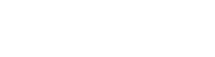 dls-internet
